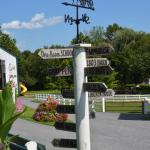 2017OTRA-1_481 (August 24, 2017)